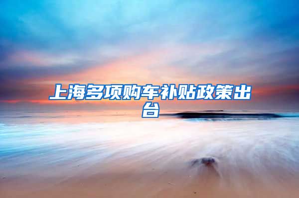 上海多项购车补贴政策出台