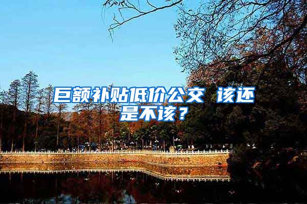 巨额补贴低价公交 该还是不该？