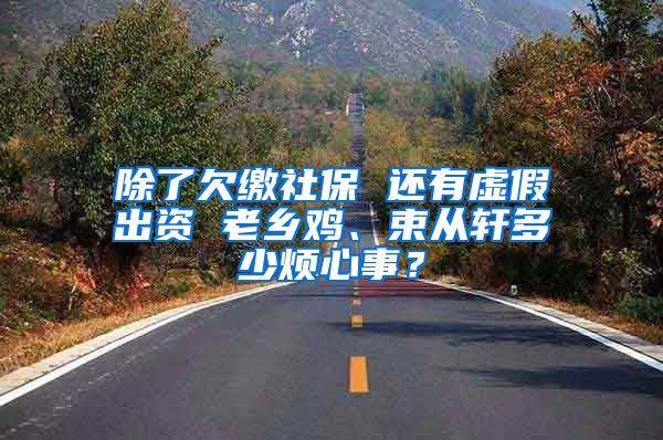 除了欠缴社保 还有虚假出资 老乡鸡、束从轩多少烦心事？
