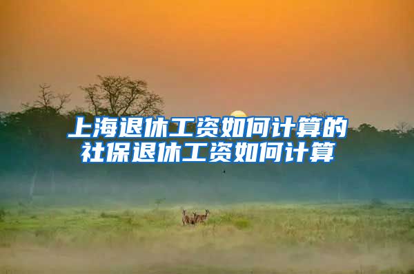 上海退休工资如何计算的社保退休工资如何计算