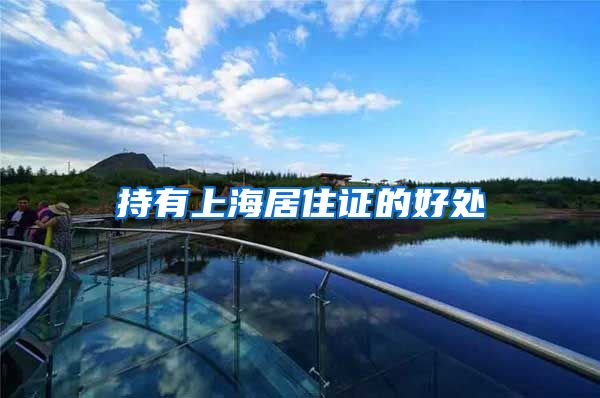 持有上海居住证的好处