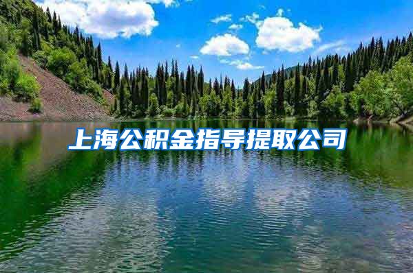 上海公积金指导提取公司