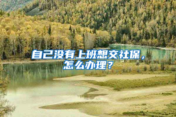 自己没有上班想交社保，怎么办理？