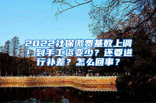 2022社保缴费基数上调！到手工资变少？还要进行补差？怎么回事？