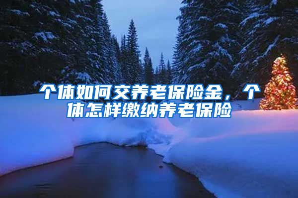 个体如何交养老保险金，个体怎样缴纳养老保险
