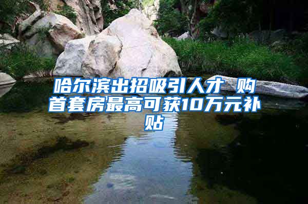 哈尔滨出招吸引人才 购首套房最高可获10万元补贴