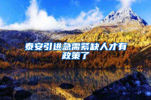 泰安引进急需紧缺人才有政策了