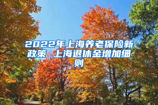 2022年上海养老保险新政策 上海退休金增加细则