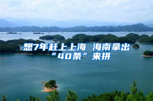 想7年赶上上海 海南拿出“40条”来拼