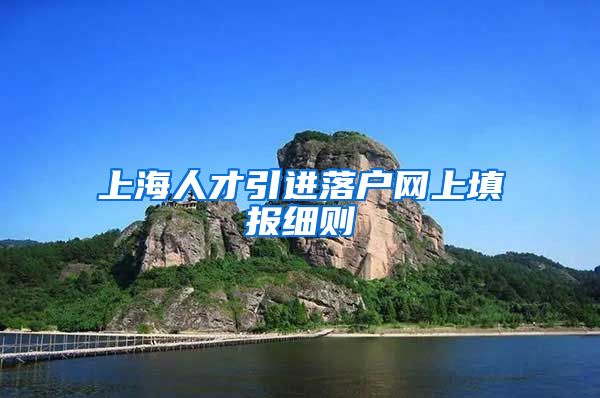 上海人才引进落户网上填报细则