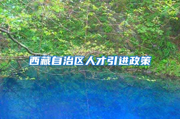 西藏自治区人才引进政策