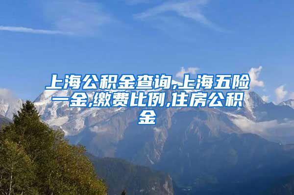上海公积金查询,上海五险一金,缴费比例,住房公积金