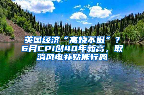 英国经济“高烧不退”？6月CPI创40年新高，取消风电补贴能行吗