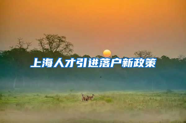 上海人才引进落户新政策