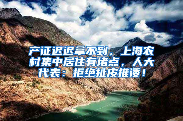 产证迟迟拿不到，上海农村集中居住有堵点，人大代表：拒绝扯皮推诿！