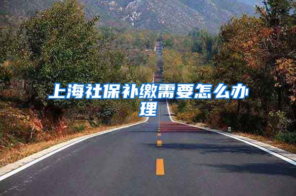 上海社保补缴需要怎么办理