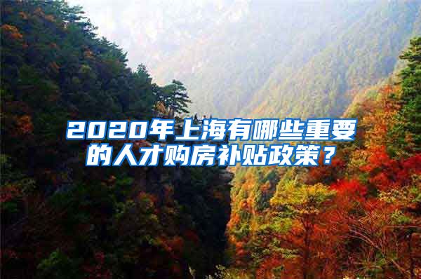 2020年上海有哪些重要的人才购房补贴政策？