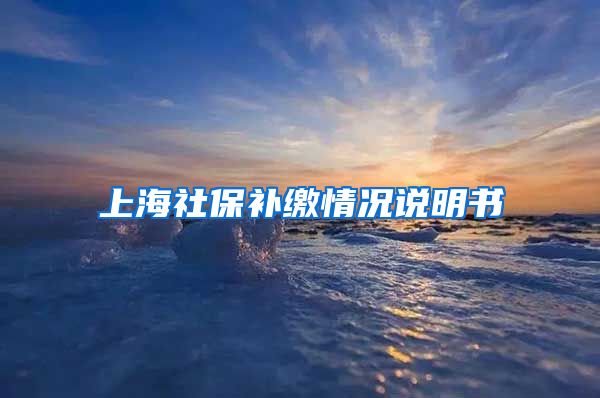 上海社保补缴情况说明书