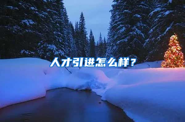 人才引进怎么样？