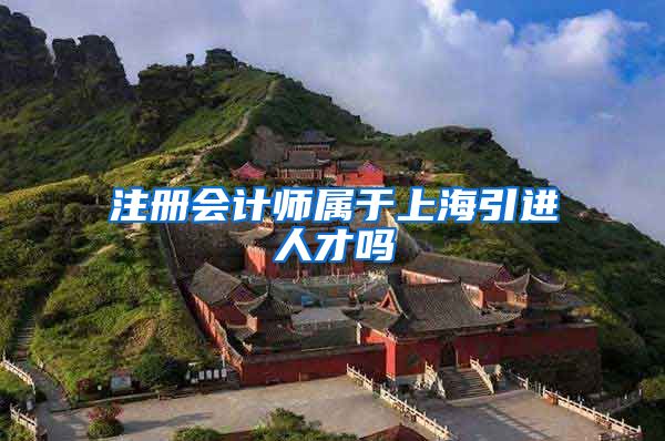 注册会计师属于上海引进人才吗