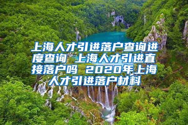 上海人才引进落户查询进度查询 上海人才引进直接落户吗 2020年上海人才引进落户材料