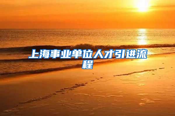 上海事业单位人才引进流程