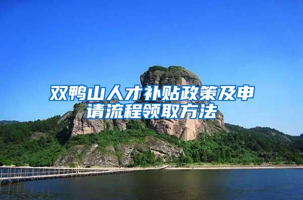 双鸭山人才补贴政策及申请流程领取方法