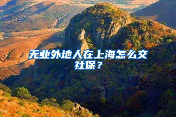 无业外地人在上海怎么交社保？