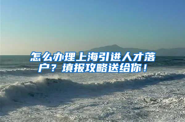 怎么办理上海引进人才落户？填报攻略送给你！