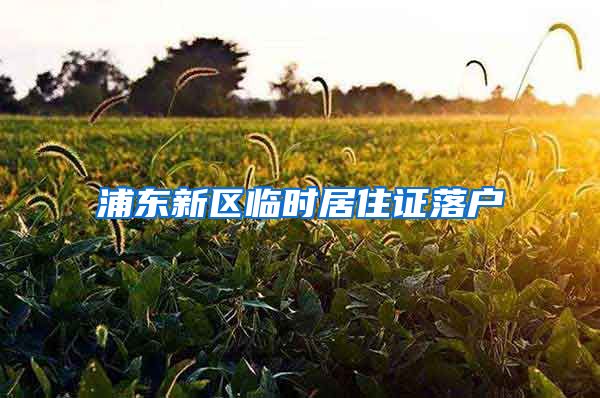 浦东新区临时居住证落户