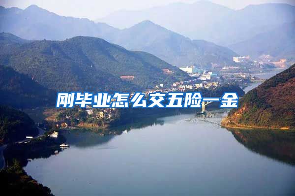 刚毕业怎么交五险一金