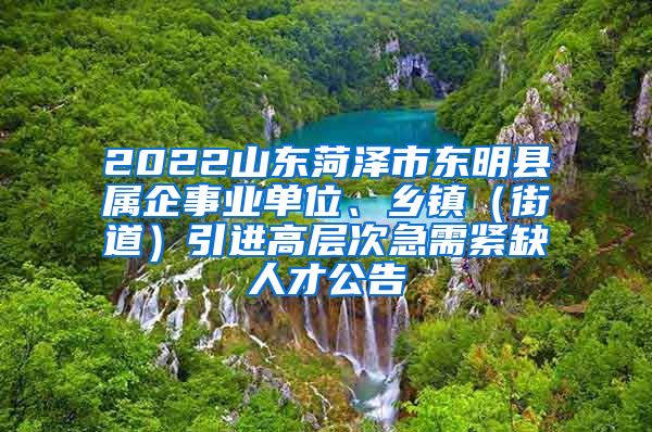 2022山东菏泽市东明县属企事业单位、乡镇（街道）引进高层次急需紧缺人才公告