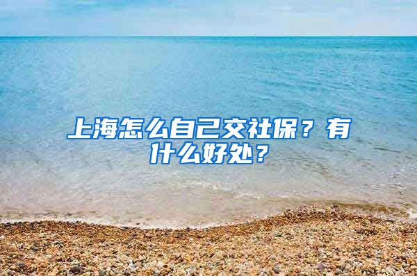 上海怎么自己交社保？有什么好处？