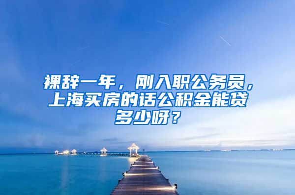 裸辞一年，刚入职公务员，上海买房的话公积金能贷多少呀？