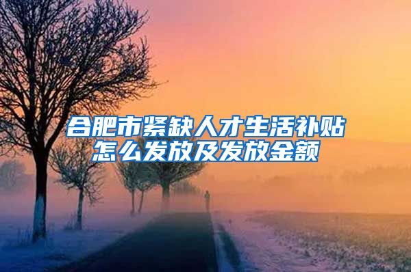 合肥市紧缺人才生活补贴怎么发放及发放金额