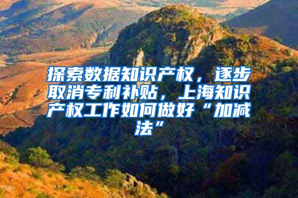 探索数据知识产权，逐步取消专利补贴，上海知识产权工作如何做好“加减法”