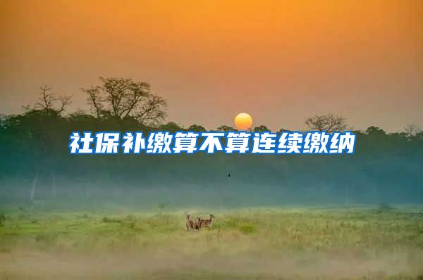 社保补缴算不算连续缴纳