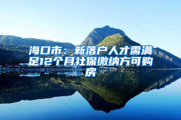 海口市：新落户人才需满足12个月社保缴纳方可购房