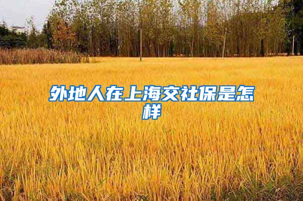 外地人在上海交社保是怎样