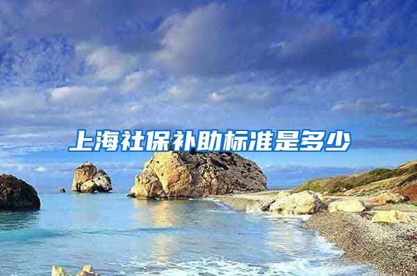 上海社保补助标准是多少