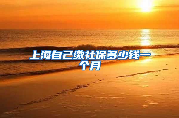 上海自己缴社保多少钱一个月