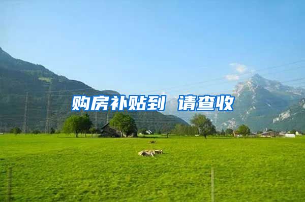 购房补贴到 请查收