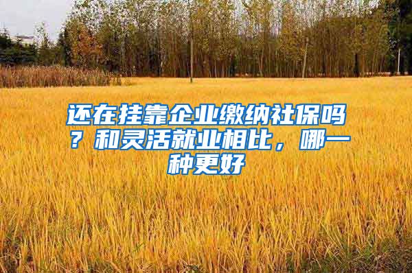 还在挂靠企业缴纳社保吗？和灵活就业相比，哪一种更好
