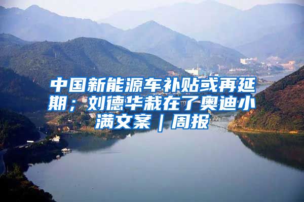 中国新能源车补贴或再延期；刘德华栽在了奥迪小满文案｜周报
