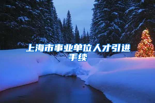 上海市事业单位人才引进手续