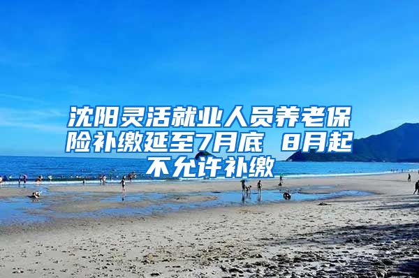 沈阳灵活就业人员养老保险补缴延至7月底 8月起不允许补缴