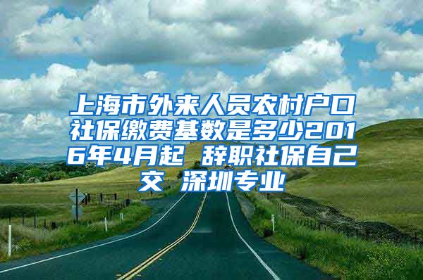 上海市外来人员农村户口社保缴费基数是多少2016年4月起 辞职社保自己交 深圳专业
