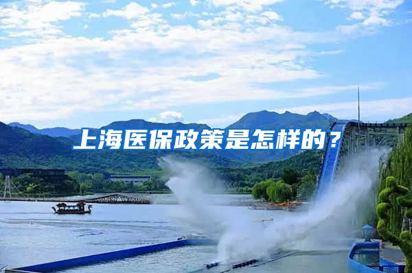 上海医保政策是怎样的？