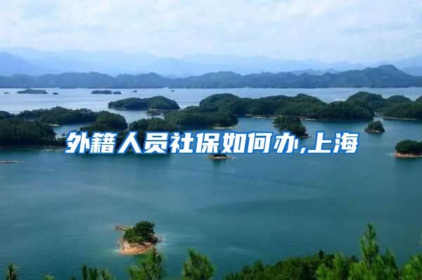 外籍人员社保如何办,上海