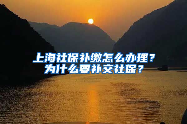 上海社保补缴怎么办理？为什么要补交社保？